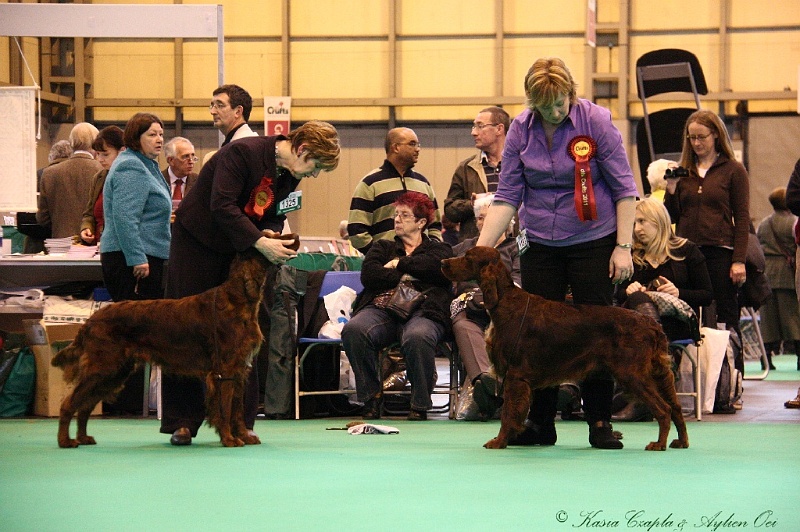 Crufts2011_2 149.jpg